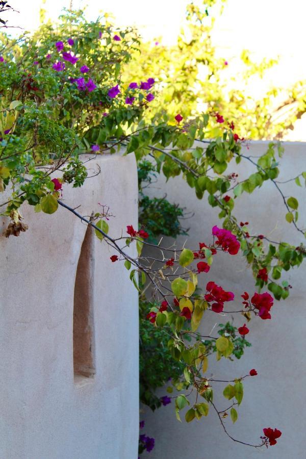 Riad Agnes Et Zohra Marakéš Exteriér fotografie